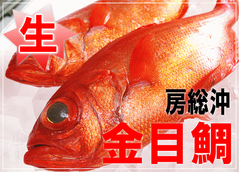 房州沖 金目鯛 房総沖