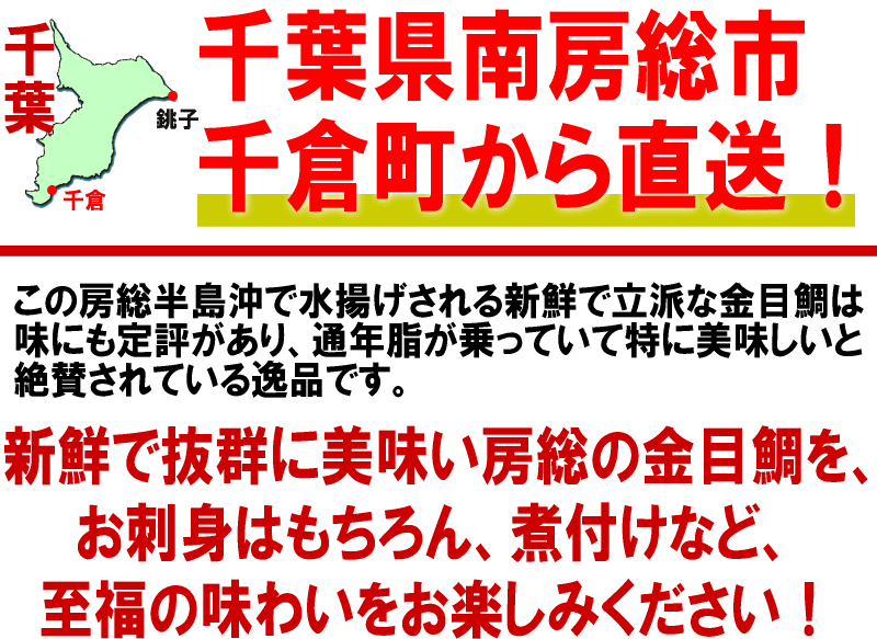 千葉県南房総から直送! 金目鯛 房総 お刺身・煮付けに♪