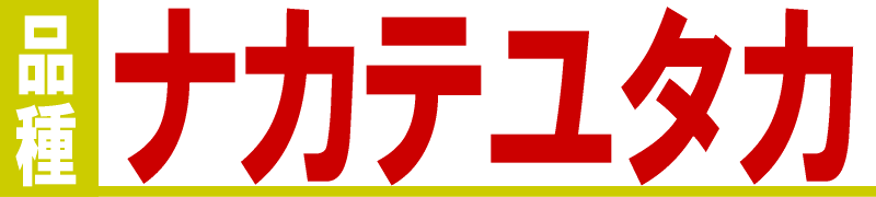 ナカテユタカ 中手豊