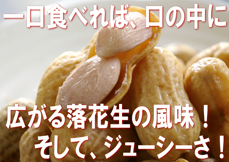 一口食べれば、口の中に広がる落花生の風味!そして、ジューシーさ!